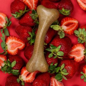 Taste & fun! Strawberry fruity bone