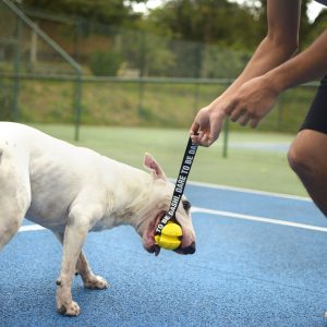 Rubber-Toys_-Lifestyle13-300x300