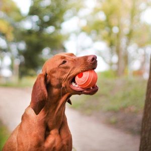 afrodis-bala-akinu-aqua-gia-skylous-7ek-21