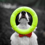 dachtylidi-proponisis-akinu-megalo-prasino-26ek1-img-150x150