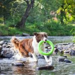 dachtylidi-proponisis-akinu-megalo-prasino-26ek4-img-150x150