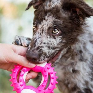 odontiatriko-dachtylidi-akinu-strong-nylon-gia-skylous-roz3