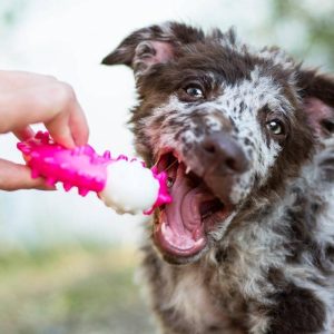 odontiatriko-dachtylidi-akinu-strong-nylon-gia-skylous-roz2