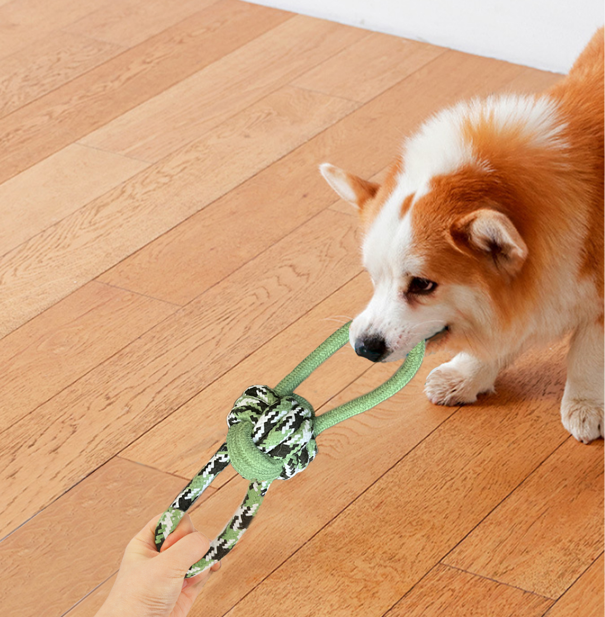 Παιχνίδι σκύλου ανθεκτικό Fancy Dog Tug Toy Medium με σχοινί 0.3 κ.