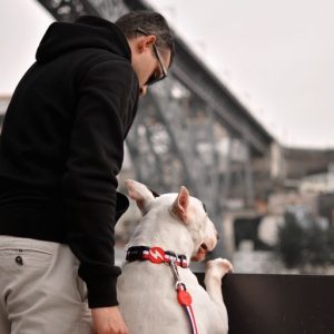 Περιλαίμιο Κολάρο Σκύλου Red & Blue Dashi Medium (DC00199) - Εικόνα 4