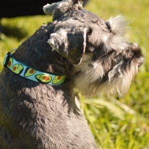 AVOCADO COLLAR Small (DC00190) - Εικόνα 3