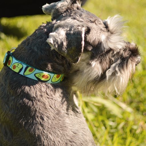 AVOCADO COLLAR Large (DC00192) - Εικόνα 3