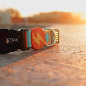 Περιλαίμιο Κολάρο Σκύλου Terracotta Dashi XSmall (DC00185) - Εικόνα 2