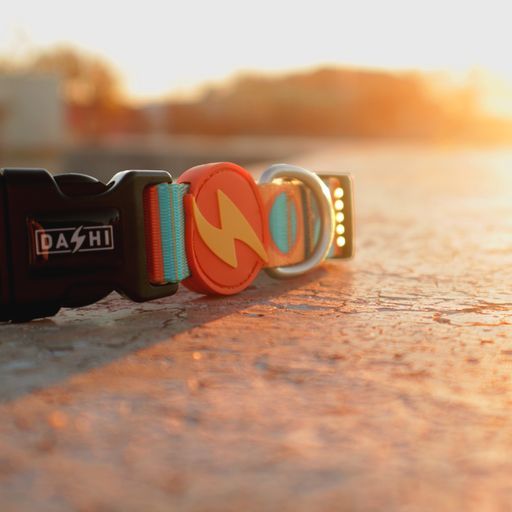 Περιλαίμιο Κολάρο Σκύλου Terracotta Dashi Large (DC00188) - Εικόνα 5