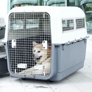 AIR PRO IATA ΚΛΟΥΒΙ ΜΕΤΑΦΟΡΑΣ 7 ΜΕ ΔΩΡΟ ΣΕΤ ΡΟΔΕΣ 100x67x82cm (AIR-07) - Εικόνα 8