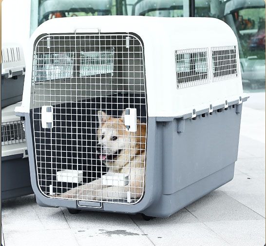 AIR PRO IATA ΚΛΟΥΒΙ ΜΕΤΑΦΟΡΑΣ 5 ΜΕ ΔΩΡΟ ΣΕΤ ΡΟΔΕΣ 81x57x65cm (AIR-05) - Εικόνα 8