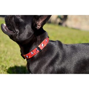 Dogtanian Collar Medium (DC00139) - Εικόνα 2