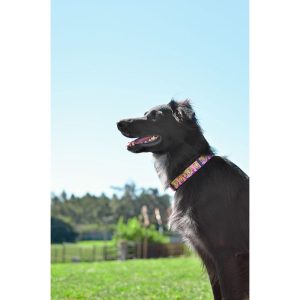 Juliette Collar XSmall (DC00141) - Εικόνα 2