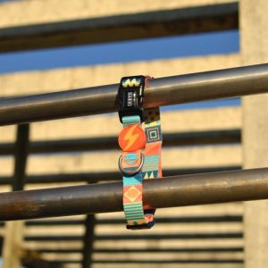 Περιλαίμιο Κολάρο Σκύλου Terracotta Dashi Small (DC00186) - Εικόνα 4