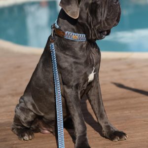 UNICORD COLLAR SKYSCRAPER XL DOG - Εικόνα 2