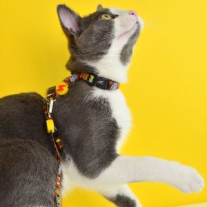 Περιλαίμιο Γάτας Boom Dashi (DCC00002) - Εικόνα 5