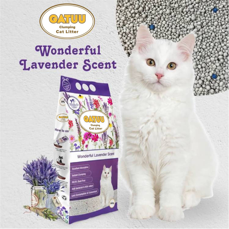 Gatuu Lavender 5L (HCL-5) - Εικόνα 3