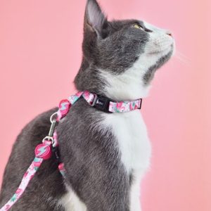 Περιλαίμιο Γάτας Flamingo Dashi (DCC00003) - Εικόνα 2