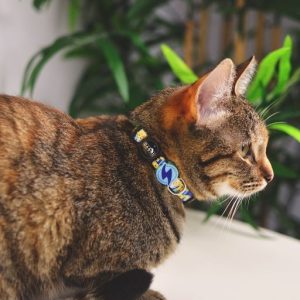 NEBULA COLLAR CAT (DCC00032) - Εικόνα 7