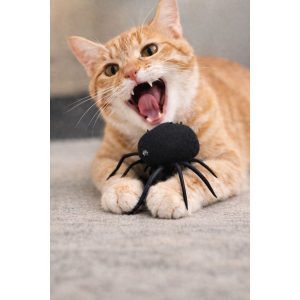 ΠΑΙΧΝΙΔΙ ΓΙΑ ΓΑΤΕΣ THE PURR-TECTOR No6 L7cm (CT-No6) - Εικόνα 3