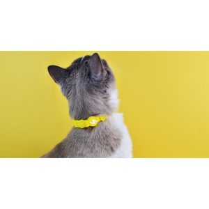 COLORFLEX YELLOW COLLAR CAT (DCC00059) - Εικόνα 2