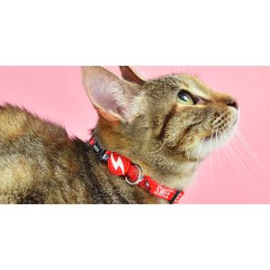 SWEEPEA CAT COLLAR (DCC00026) - Εικόνα 2