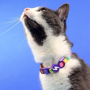 BETTY YOU COLLAR CAT (DCC00067) - Εικόνα 4