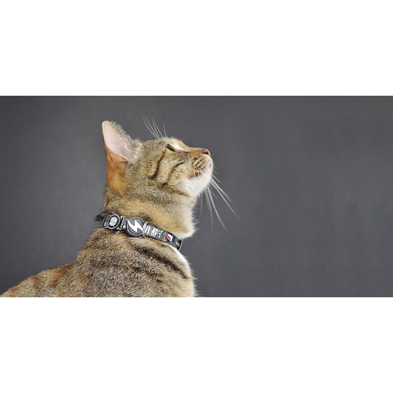 WIMPY CAT COLLAR (DCC00027) - Εικόνα 2