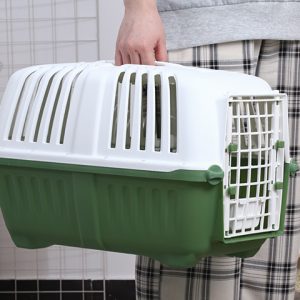 BUDDY PLASTIC DOG CARRIER WITH MAT GREEN L580XW370XH371mm (BDCG-4) - Εικόνα 3