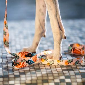 SAFARI L (40-62CM) SA-L - Εικόνα 3