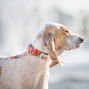 SAFARI M (29CM-40CM) SA-M - Εικόνα 4