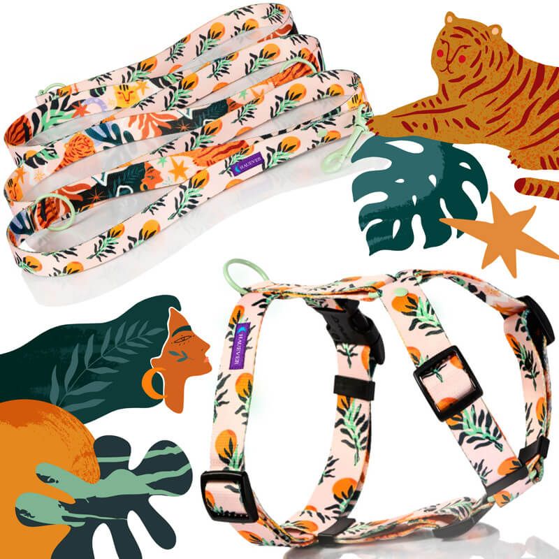 SAFARI S 24-33cm (SA-S) - Εικόνα 5