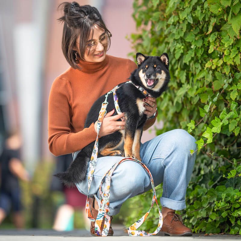 SAFARI XL 47-71cm (SA-XL) - Εικόνα 7