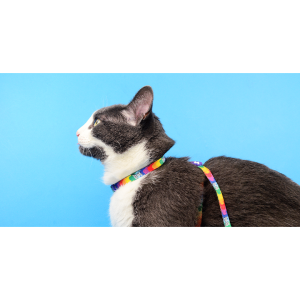 BETTY YOU CAT HARNESS + LEASH (DCHL024) - Εικόνα 2