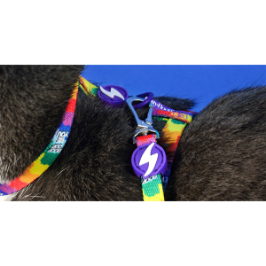 BETTY YOU CAT HARNESS + LEASH (DCHL024) - Εικόνα 3