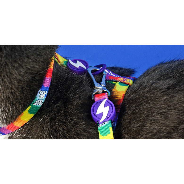 BETTY YOU CAT HARNESS + LEASH (DCHL024) - Εικόνα 3