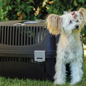 ΜΕΤΑΦΟΡΑ ΚΑΤΟΙΚΙΔΙΩΝ ΜΕ ΠΛΑΣΤΙΚΗ ΠΟΡΤΑ Max 8kg (PT-105-BROWN-037) 5τμχ/κιβ. - Εικόνα 2