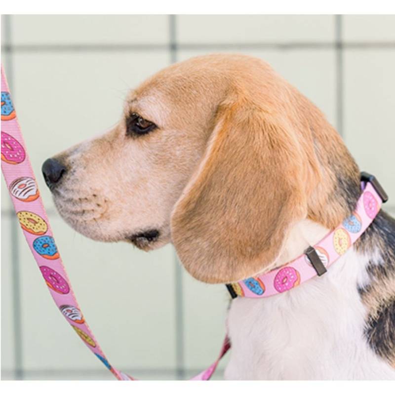 DONUT WORRY, BE SWEET DONUT COLLAR Medium (DC00071) - Εικόνα 2