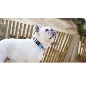 EXPLOSIONS OF GALAXIES NEBULA COLLAR Small (DC00126) - Εικόνα 2