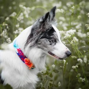 FLOWERS S 24-33cm (FL-S) - Εικόνα 2