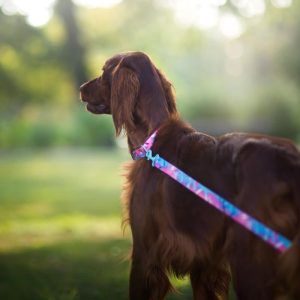 HOLOGRAM L 40-62cm (HO-L) - Εικόνα 3