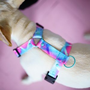 HOLOGRAM S (24CM-33CM) HO-S - Εικόνα 2