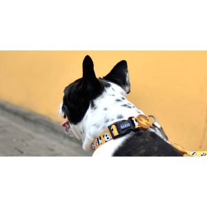 JUST 5 MORE MINUTES SNOOZE COLLAR Large (DC00068) - Εικόνα 2