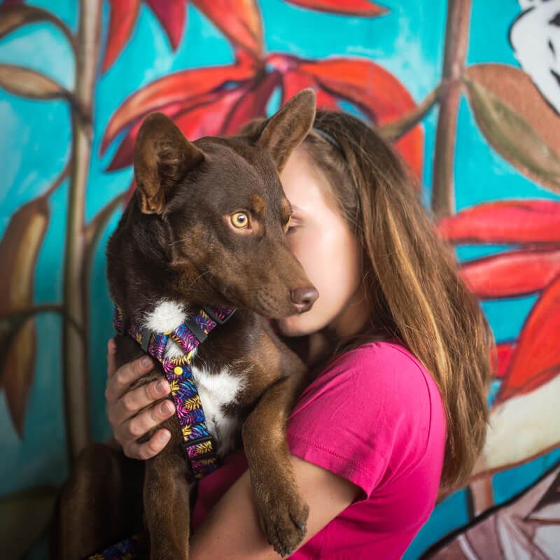 VIVIDLEAF L 40-62cm (VI-L) - Εικόνα 3