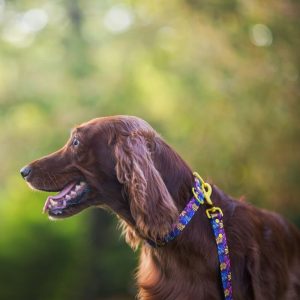 VIVIDLEAF L 40-62cm (VI-L) - Εικόνα 7