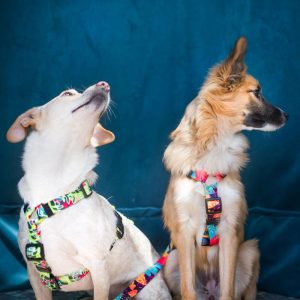 MIAMI S 24-33cm (MI-S) - Εικόνα 3