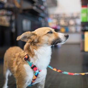 MIAMI S 24-33cm (MI-S) - Εικόνα 4