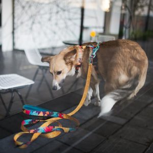 MIAMI S 24-33cm (MI-S) - Εικόνα 6