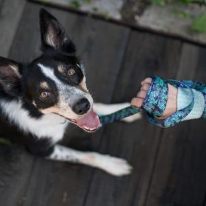 FOREST L 40-62cm (FO-L) - Εικόνα 7