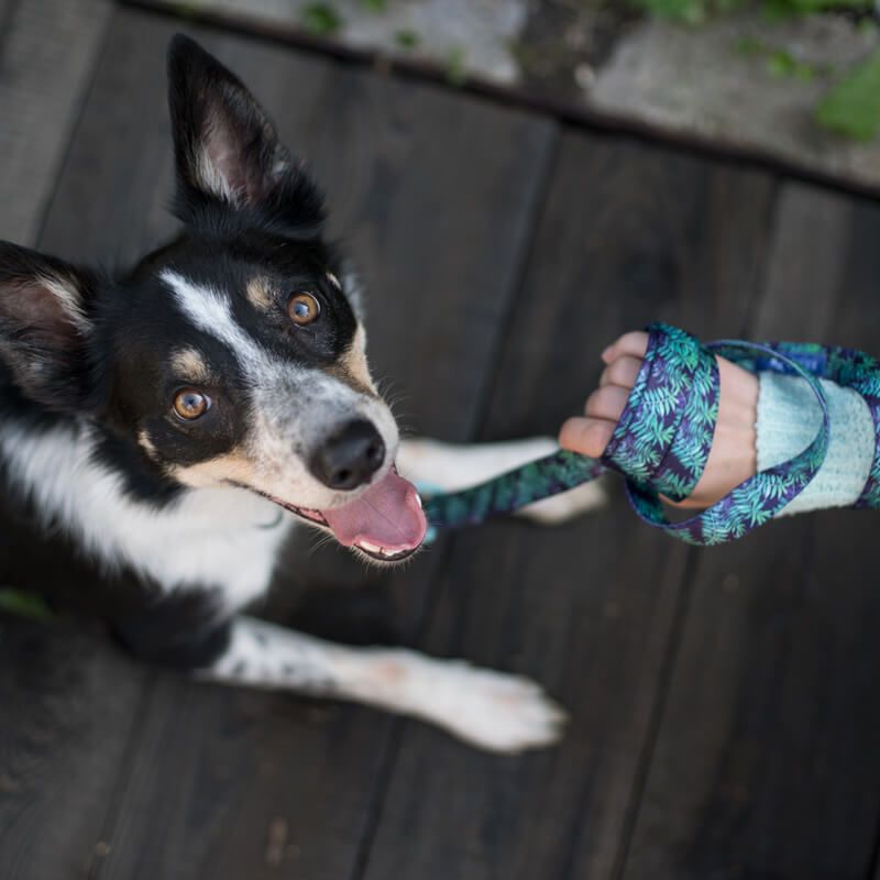 FOREST XL 47-71cm (FO-XL) - Εικόνα 7